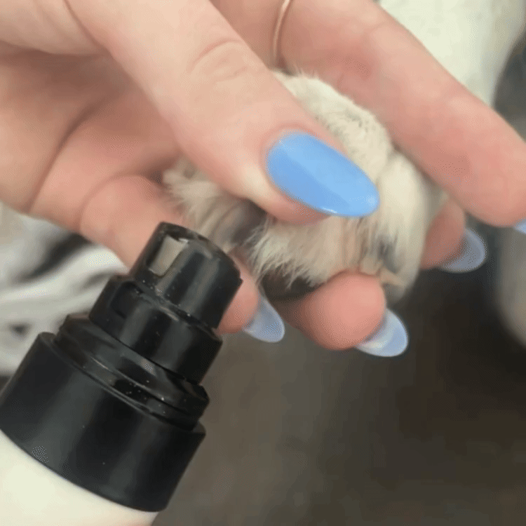 BuddySmooth – stressfreie & sichere Krallenpflege für Deinen Hund