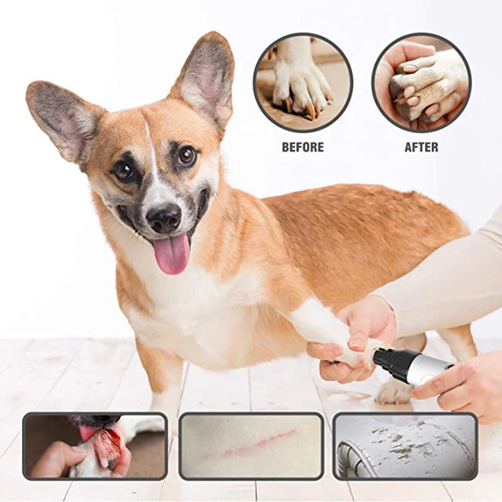BuddySmooth – stressfreie & sichere Krallenpflege für Deinen Hund