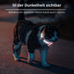 KittyFinder - finde Deine Katze überall