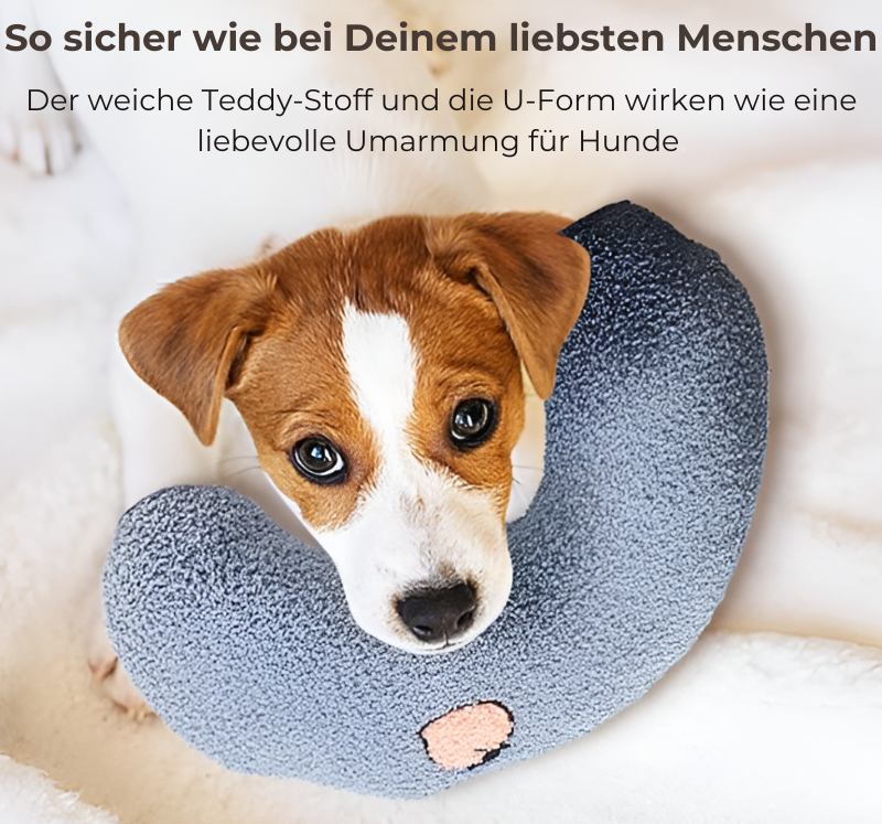 BuddyRelax - hilft Deinem Hund zu entspannen