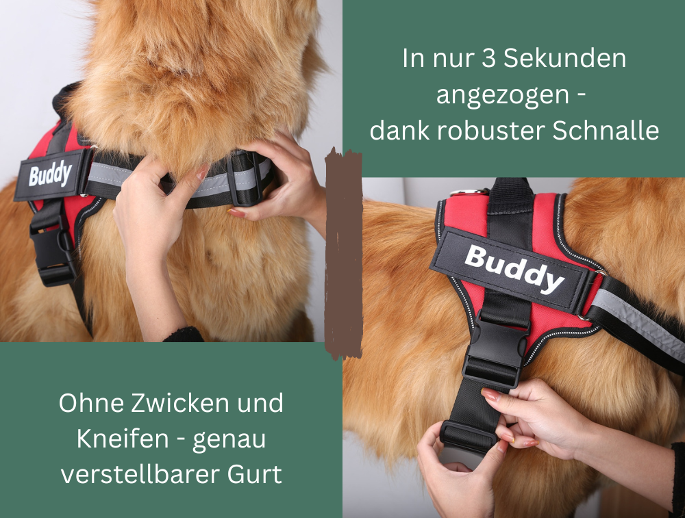 BuddyRun - Personalisiertes Allround-Geschirr für Deinen Vierbeiner