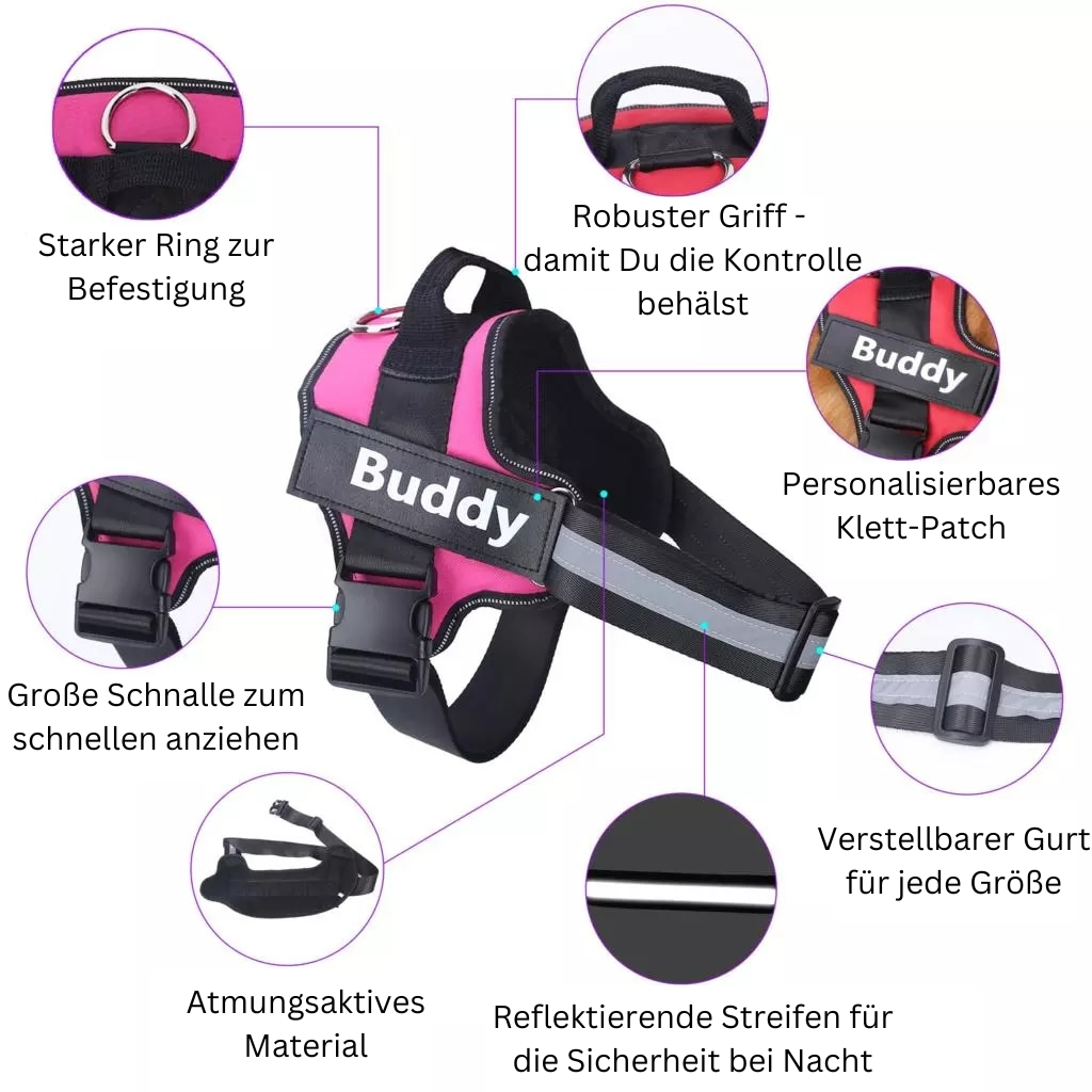 BuddyRun - Personalisiertes Allround-Geschirr für Deinen Vierbeiner