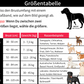 BuddyRun - Personalisiertes Allround-Geschirr für Deinen Vierbeiner